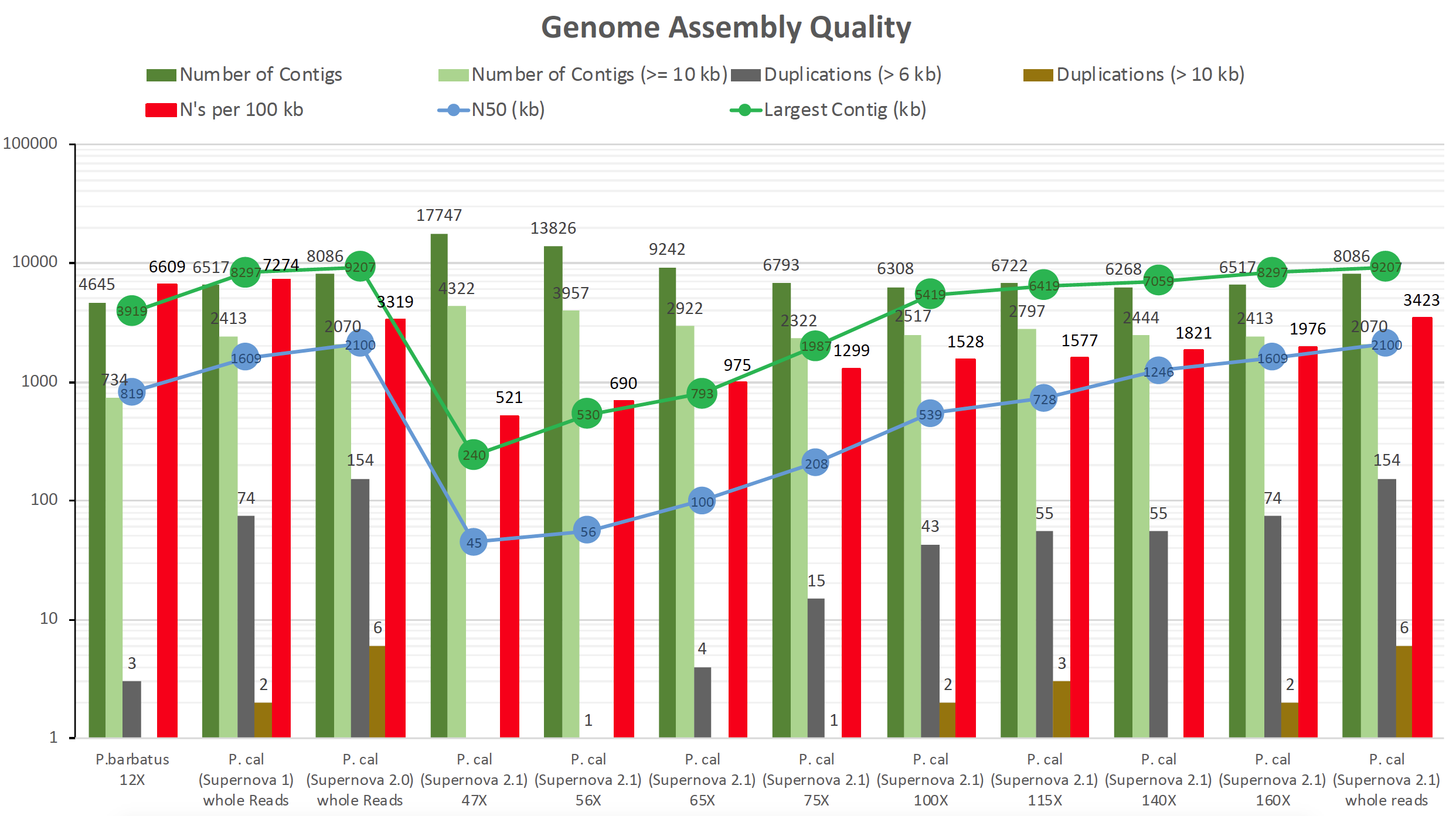 Genome Assembly Quality