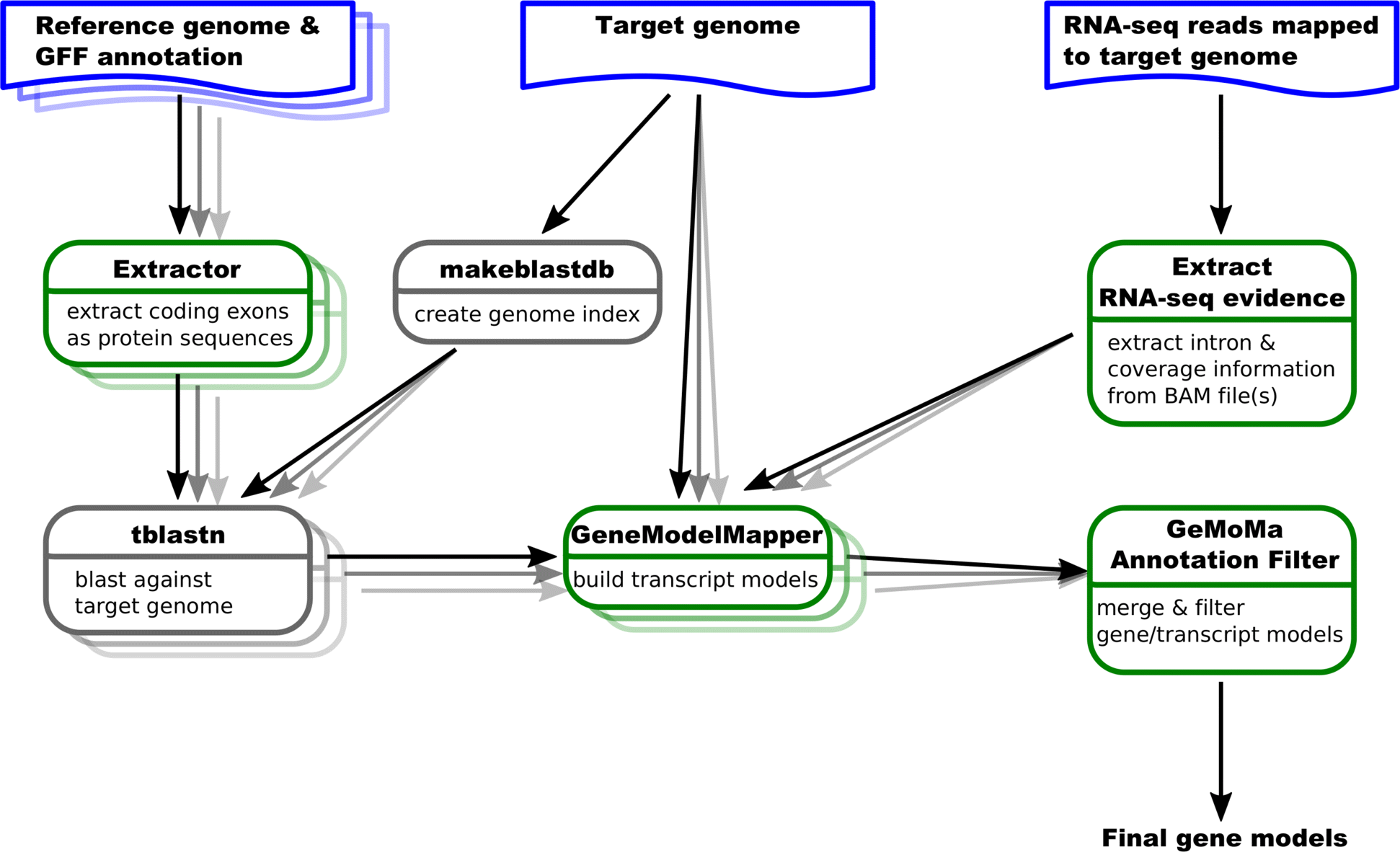 GeMoMa pipeline overview