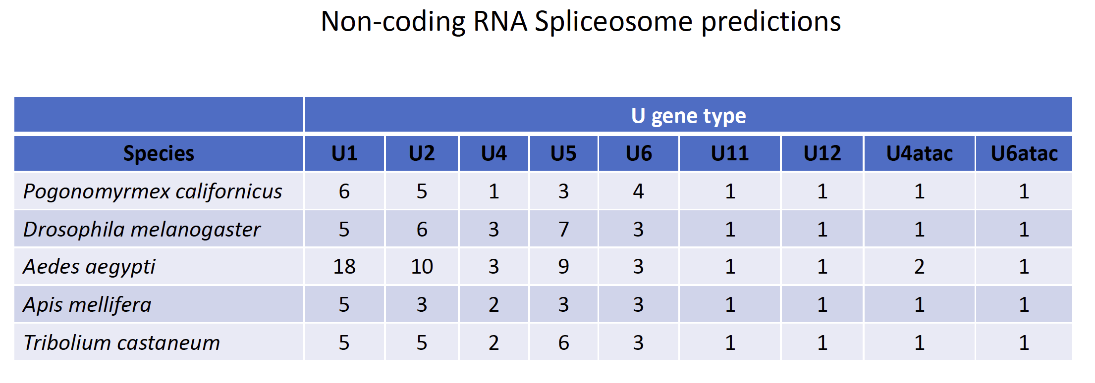 Spliceosome gene predictions