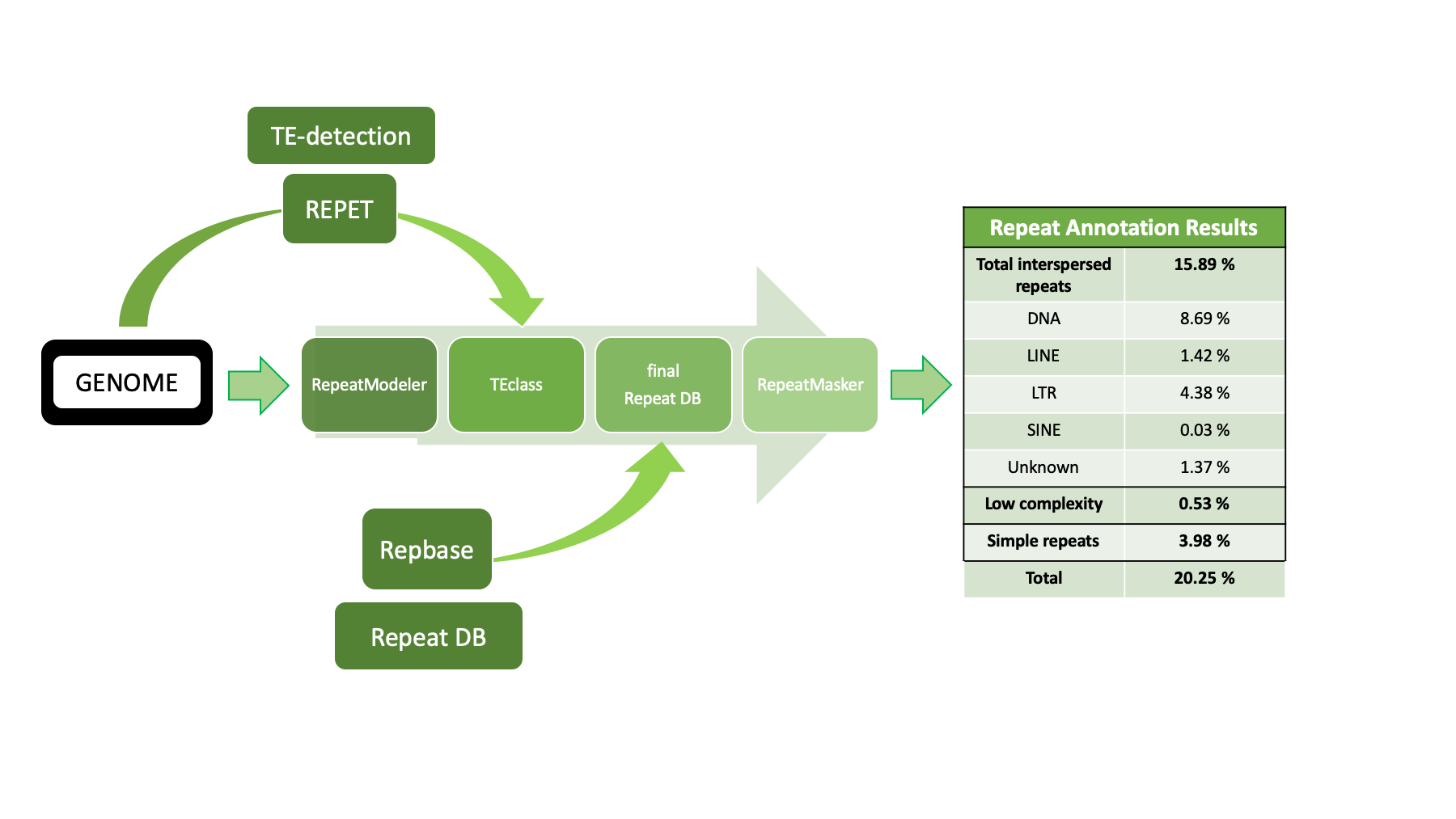 Repat annotation workflow